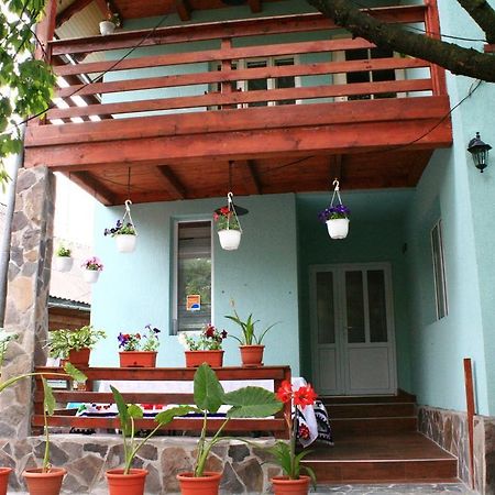 Busta House Otel Bogdan Vodă Dış mekan fotoğraf