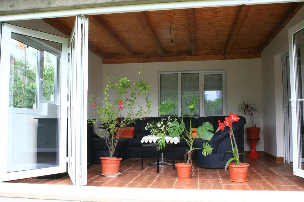 Busta House Otel Bogdan Vodă Dış mekan fotoğraf
