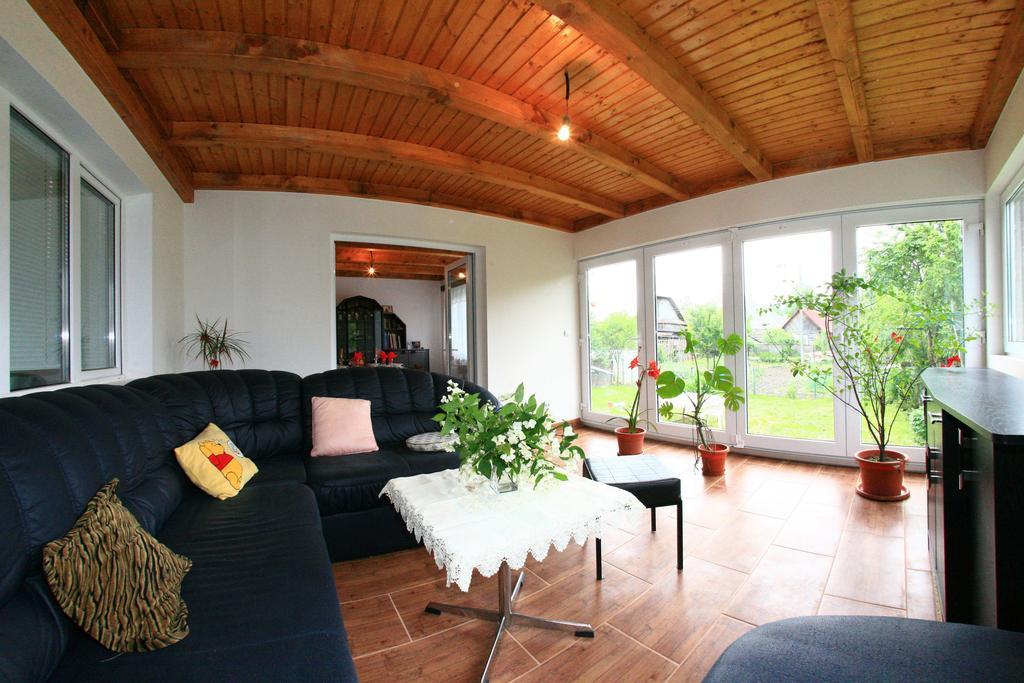 Busta House Otel Bogdan Vodă Dış mekan fotoğraf