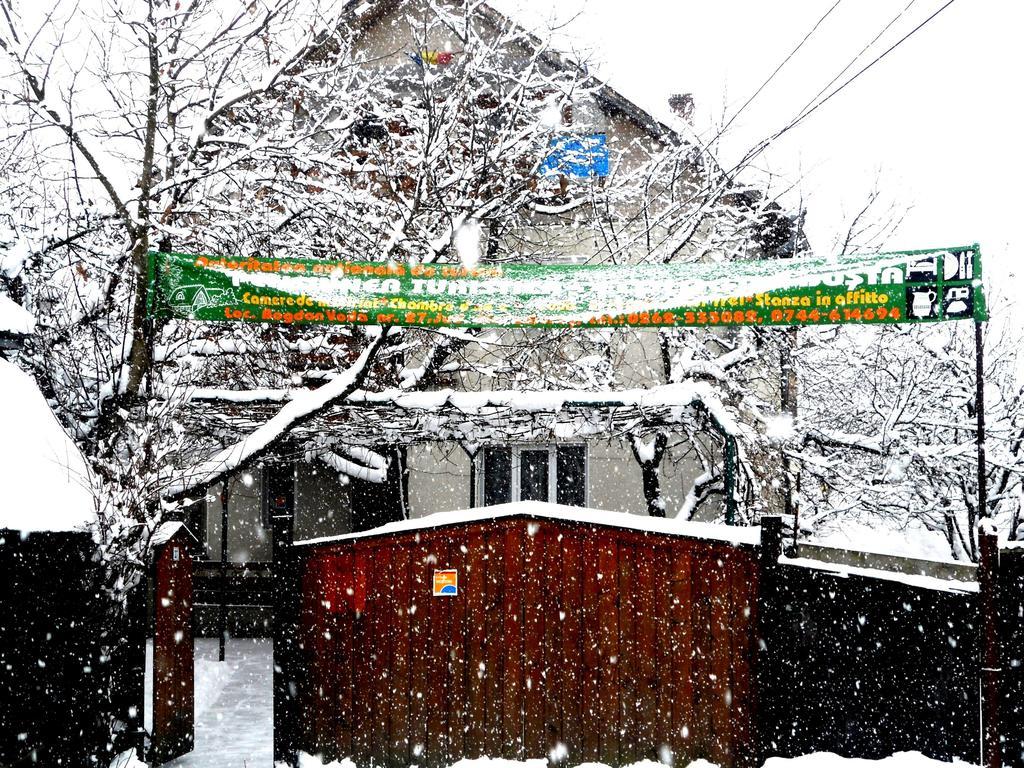 Busta House Otel Bogdan Vodă Dış mekan fotoğraf