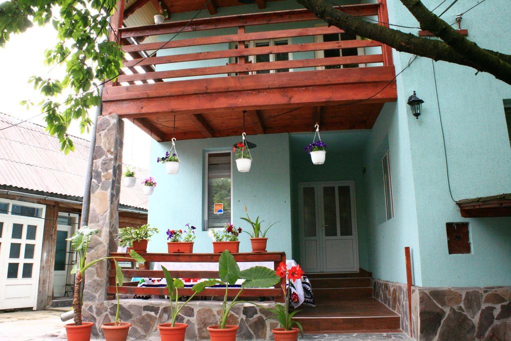 Busta House Otel Bogdan Vodă Dış mekan fotoğraf