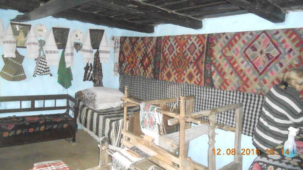 Busta House Otel Bogdan Vodă Dış mekan fotoğraf