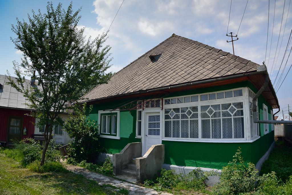Busta House Otel Bogdan Vodă Dış mekan fotoğraf