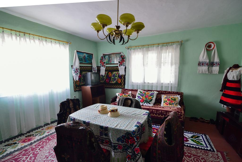 Busta House Otel Bogdan Vodă Dış mekan fotoğraf