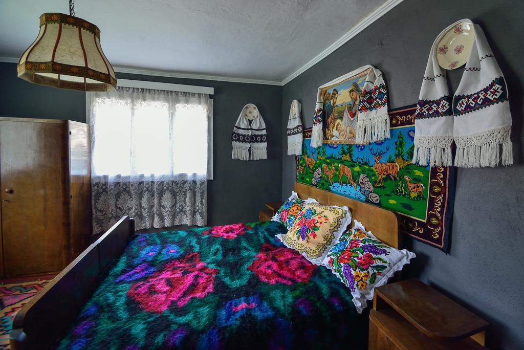 Busta House Otel Bogdan Vodă Dış mekan fotoğraf